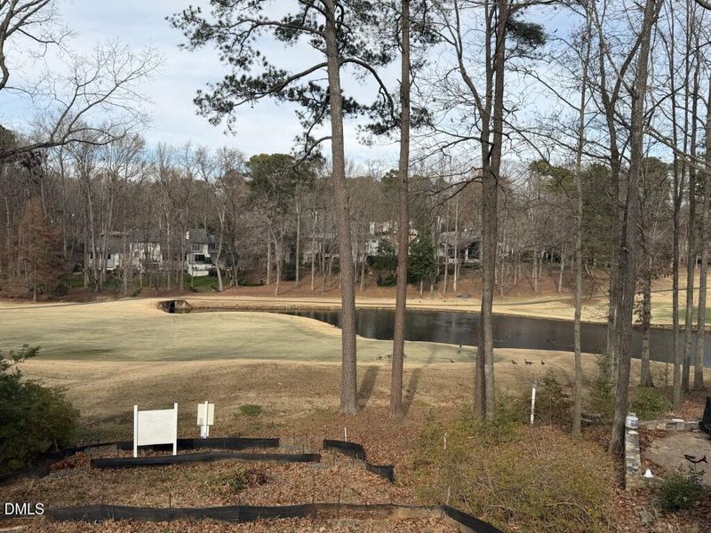 IMG_0071 (Medium) IMG_0071 (Medium)