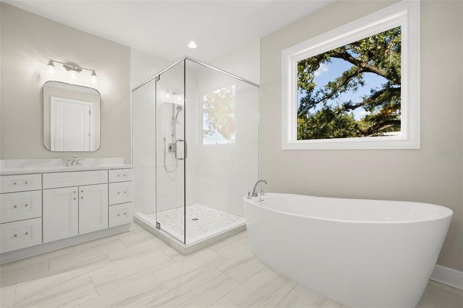 Furnished interior view inside a new home in , Tampa (Image 5). Furnished interior view inside a new home in , Tampa (Image 5).