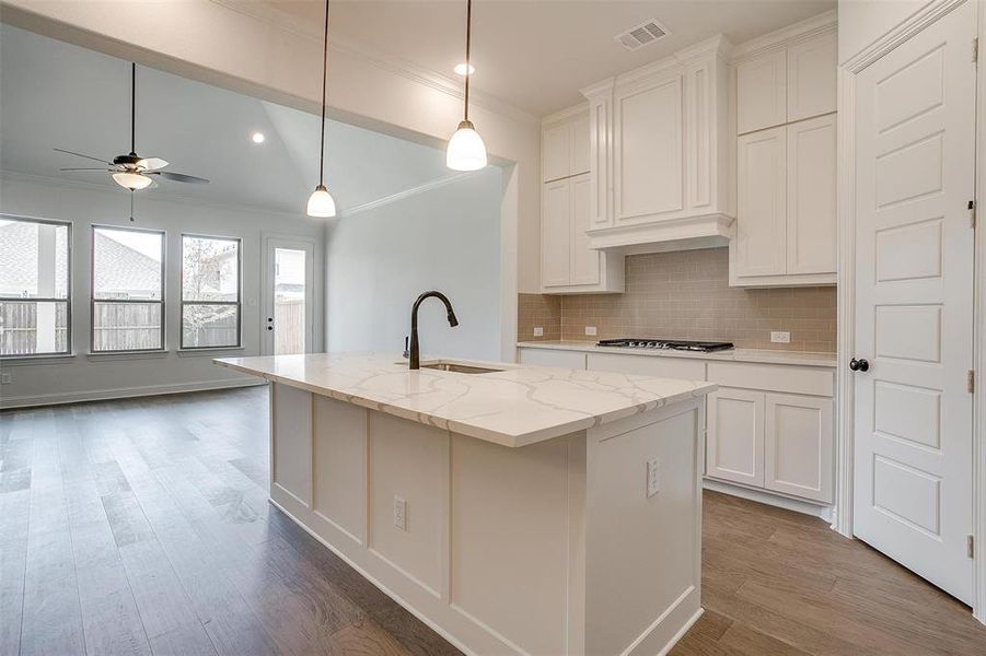 Kitchen featuring sink, hardwood / wood-style flooring, an island with sink, and ceiling fan