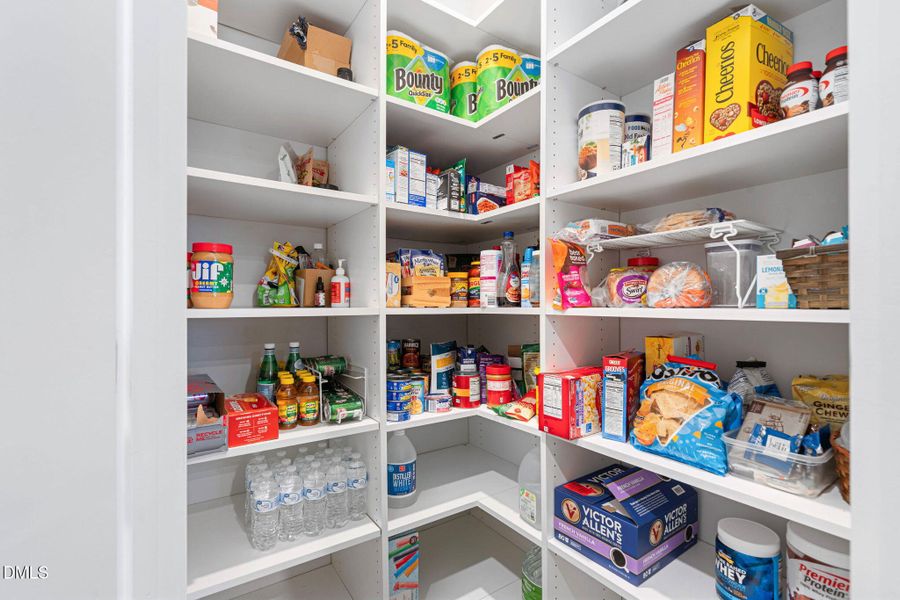 58-web-or-mls-4004-mount-moran-rd