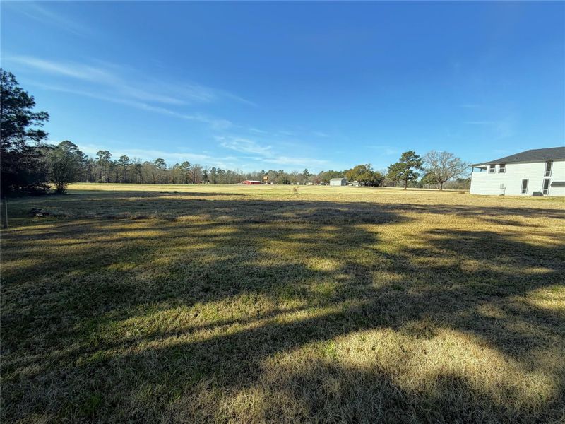 Natural landscape and outdoor views near  in Trinity (Image 26).