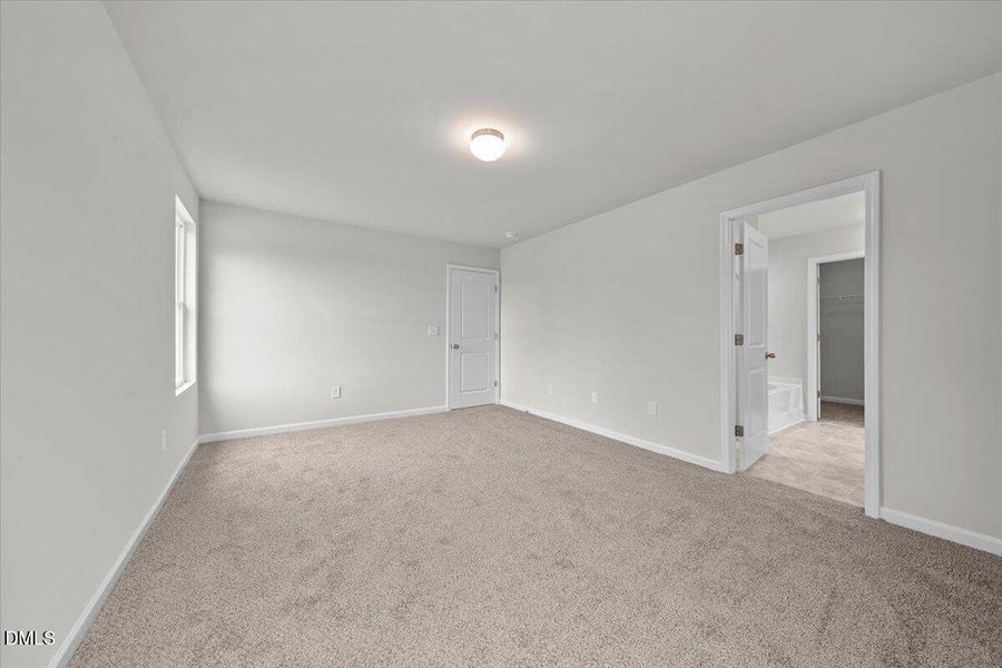 Fay_Stout_17 (24)1 Fay_Stout_17 (24)1