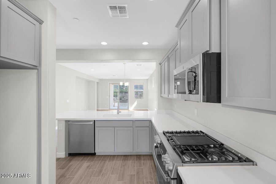 hj-az-phoenix-mystic-discovery-lily-lot-