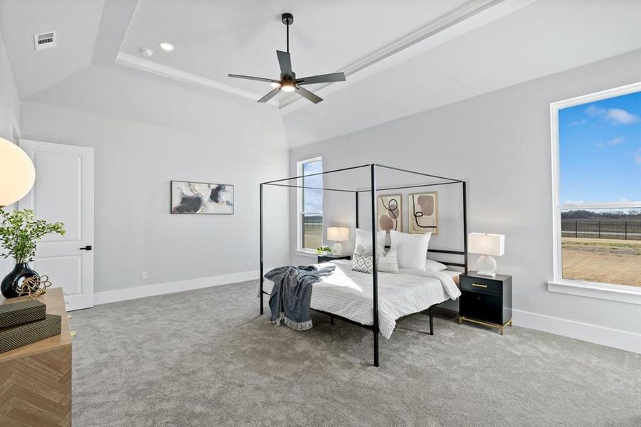 Bedroom with a raised ceiling, carpet, and ceiling fan