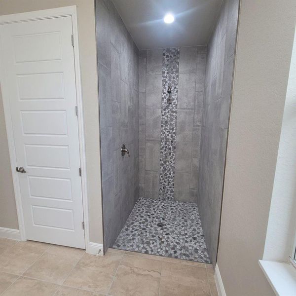 Master bathroom shower