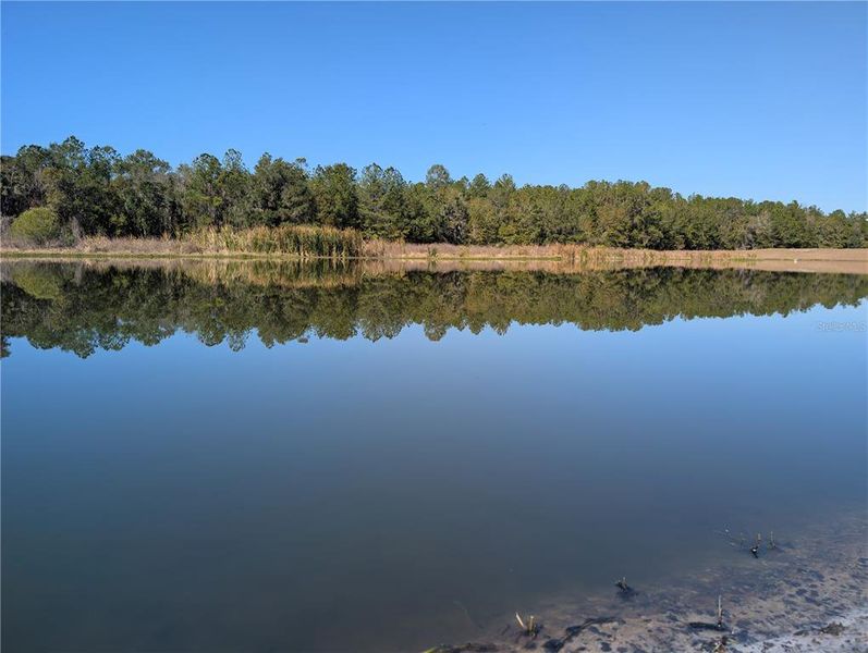 Natural landscape and outdoor views near in Brooksville (Image 13). Natural landscape and outdoor views near in Brooksville (Image 13).