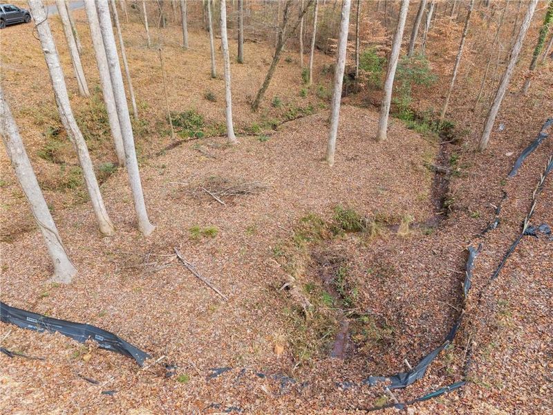 Natural landscape and outdoor views near  in Dawsonville (Image 51).