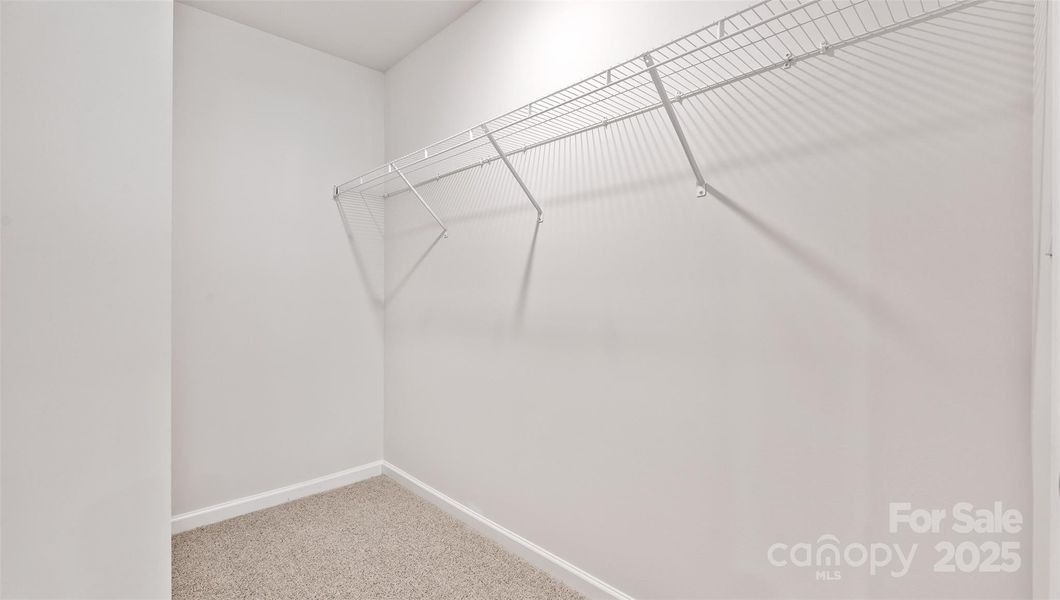 Photos are representative