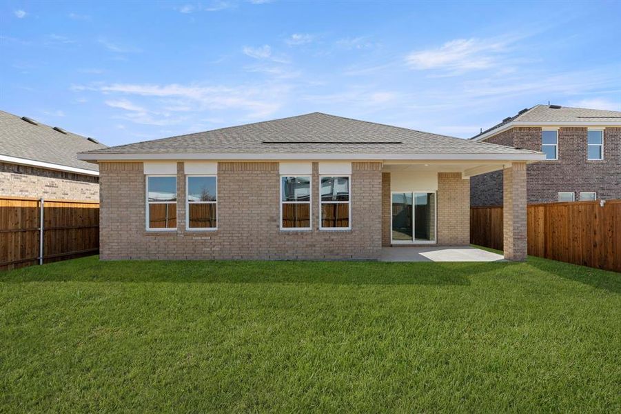 26. 1262 Herring - Back