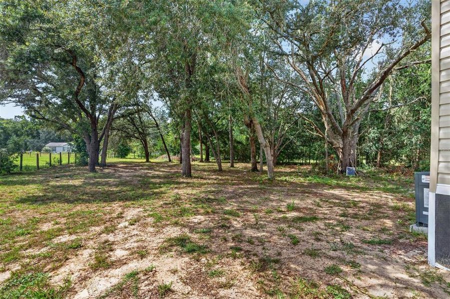 Natural landscape and outdoor views near  in Bronson (Image 33).