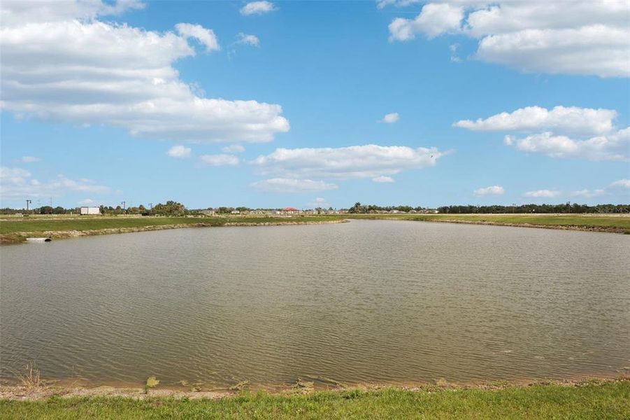 Natural landscape and outdoor views near Oakfield Trails - Signature Series in Parrish (Image 36).