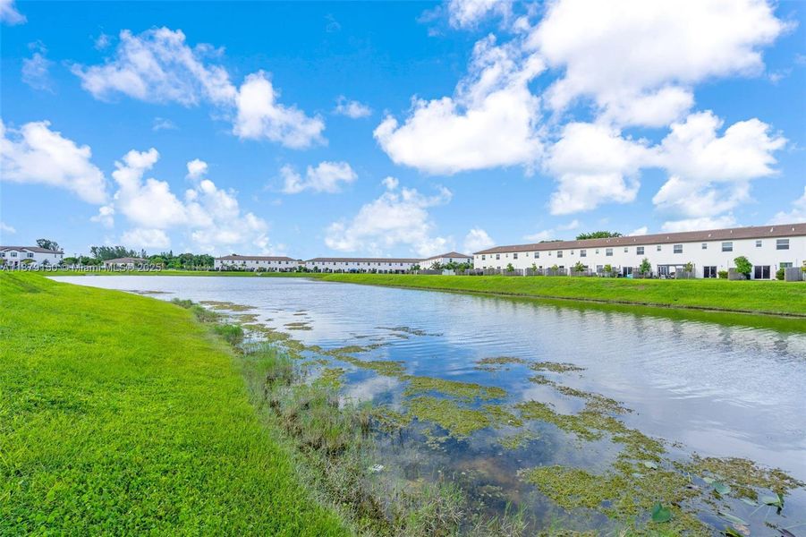 Natural landscape and outdoor views near  in Miami (Image 23).
