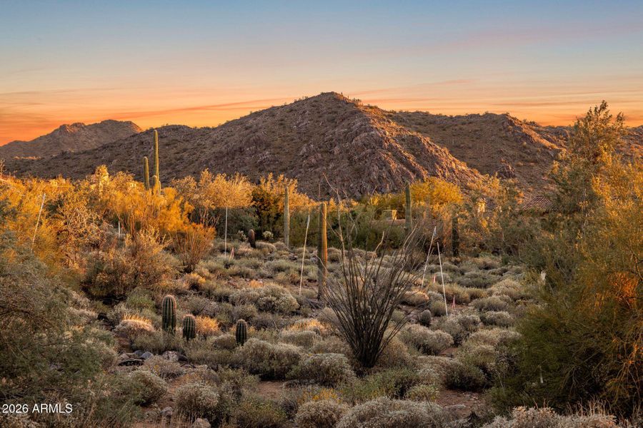 Mountain views to the south