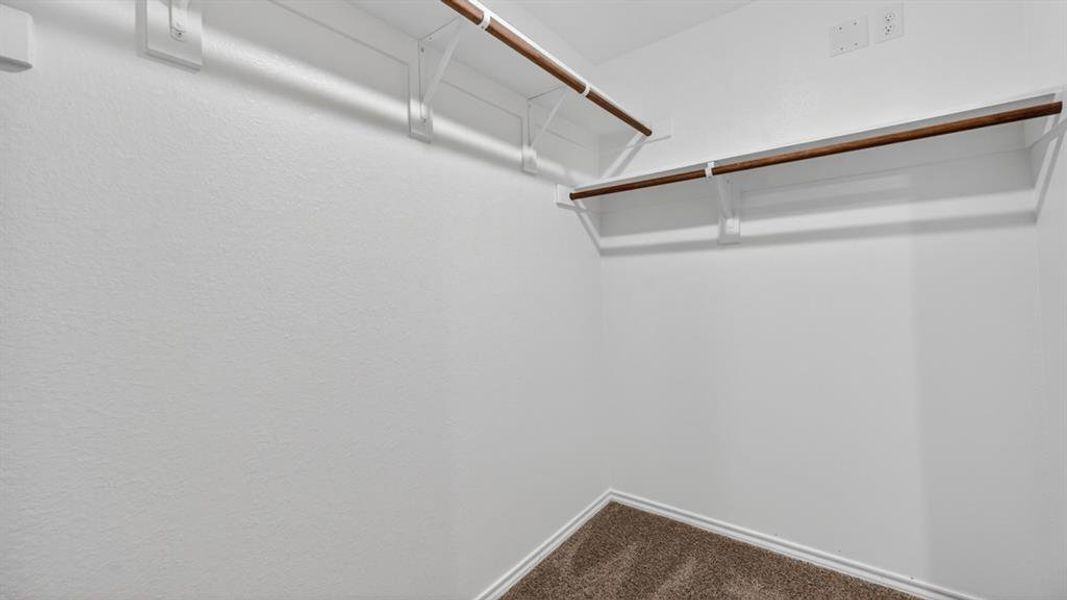 Walk-in closet featuring light-colored walls, carpet flooring, and two levels of wood-finish hanging rods with shelving
