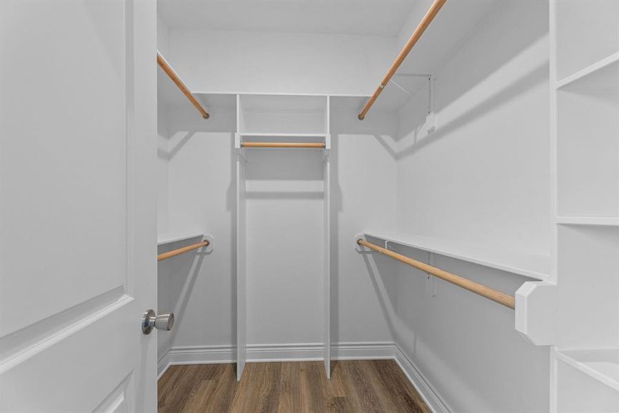 Walk in closet featuring dark wood-style flooring