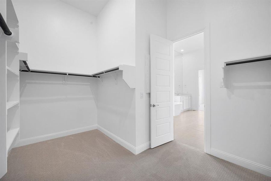 Spacious primary bedroom closet featuring light carpet