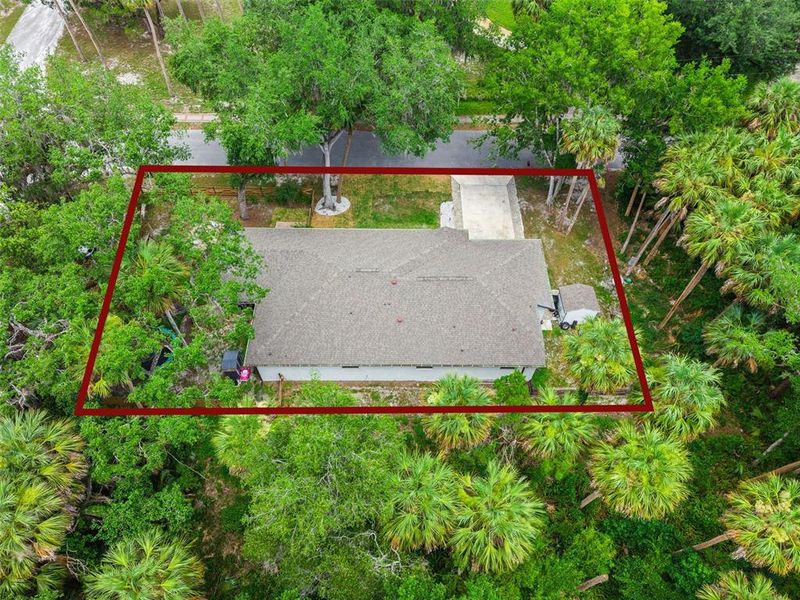 Site preparation for new homesites in , Debary (Image 47). Site preparation for new homesites in , Debary (Image 47).
