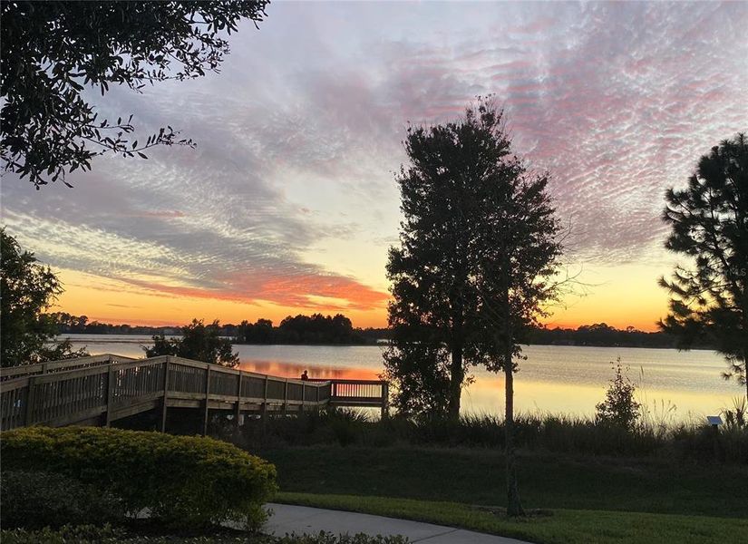 Natural landscape and outdoor views near  in Winter Garden (Image 59).