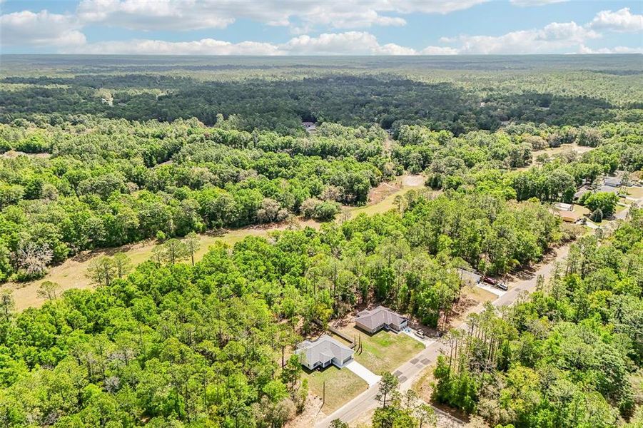 Natural landscape and outdoor views near  in Citrus Springs (Image 53).