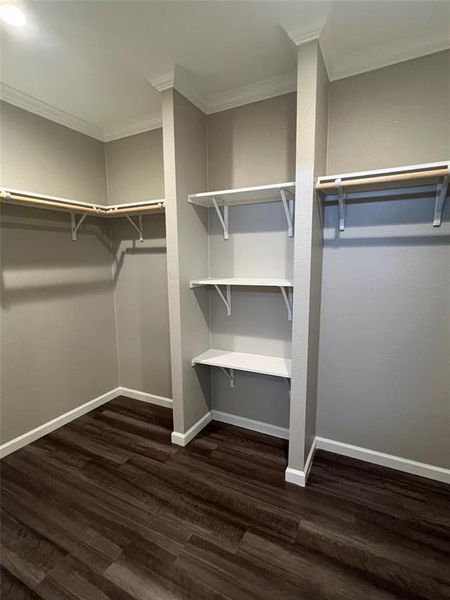 Spacious closet featuring dark wood-type flooring
