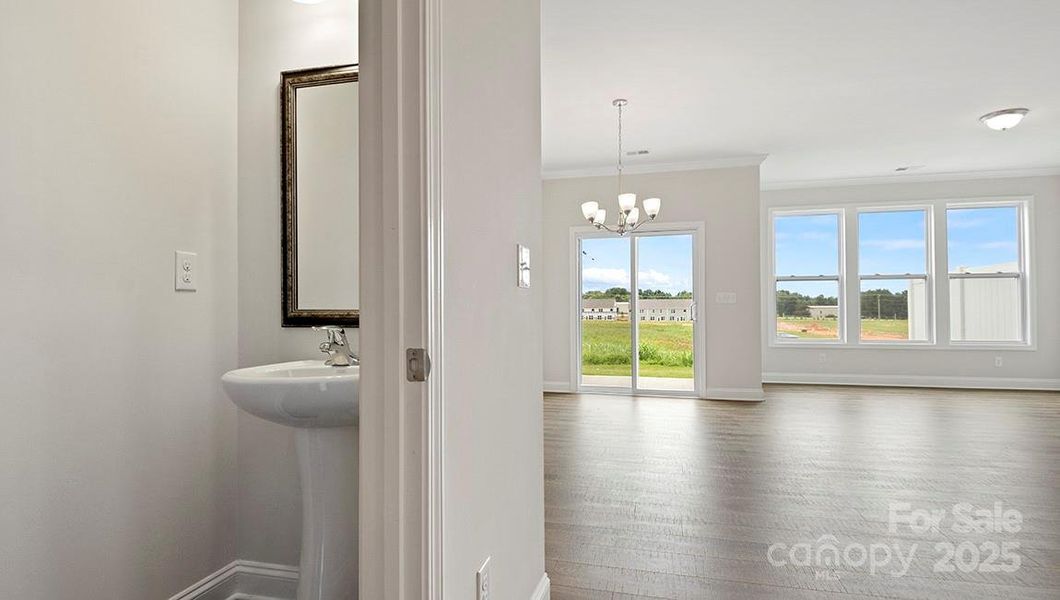 Photos are representative