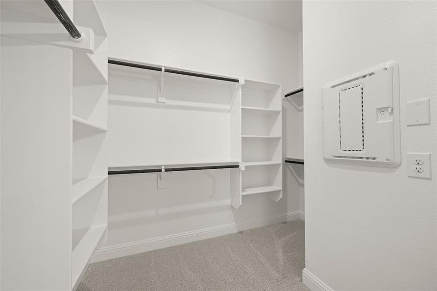 Spacious closet featuring carpet Spacious closet featuring carpet