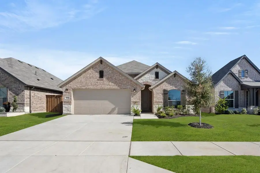 10341 Tapioca- Front-1