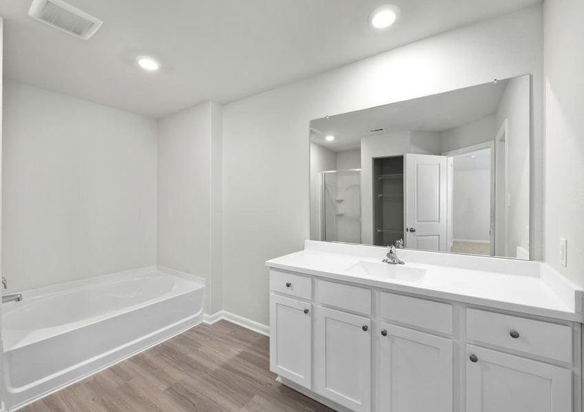 The master bathroom has a large soaking tub.