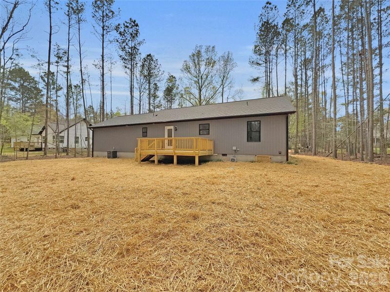 surrounded by trees surrounded by trees