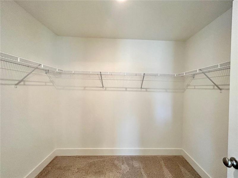 Walk in closet featuring light colored carpet