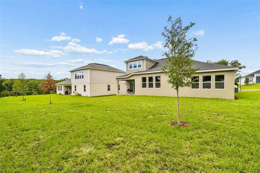 Exterior details and patio area of a home in Wolf Lake Ranch, Apopka (Image 18).