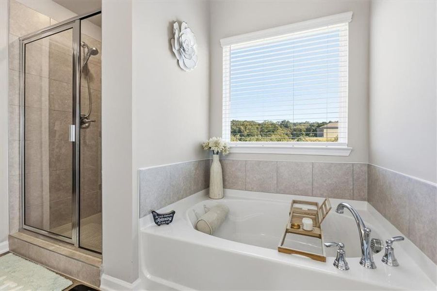 Furnished interior view inside a new home in , Locust Grove (Image 32). Furnished interior view inside a new home in , Locust Grove (Image 32).