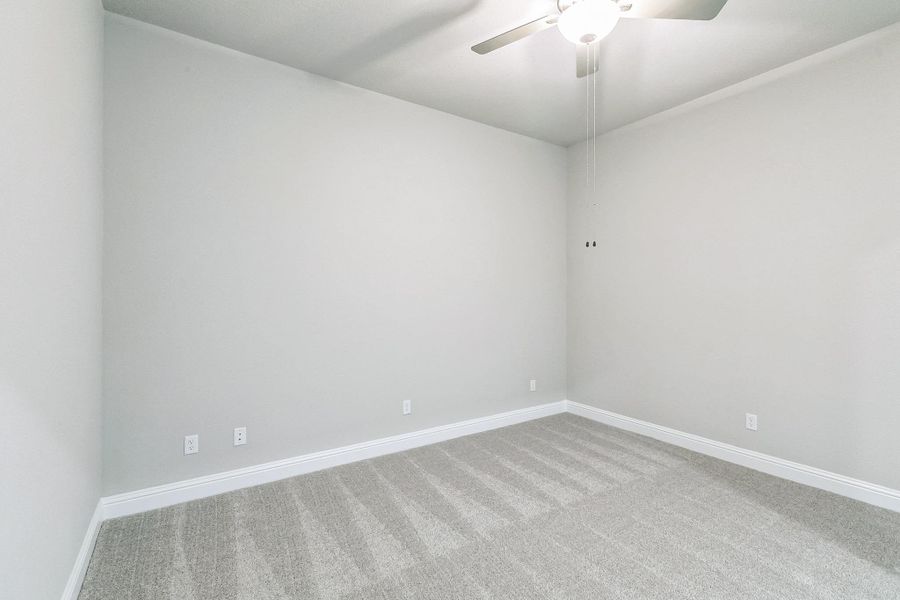 Carpeted empty room featuring ceiling fan and baseboards Carpeted empty room featuring ceiling fan and baseboards
