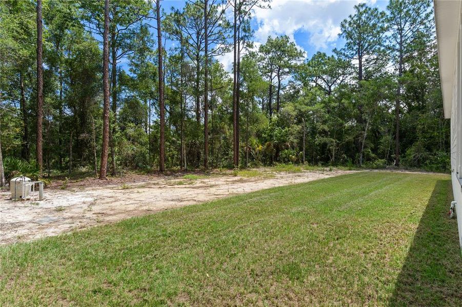 Natural landscape and outdoor views near in Weeki Wachee (Image 39). Natural landscape and outdoor views near in Weeki Wachee (Image 39).