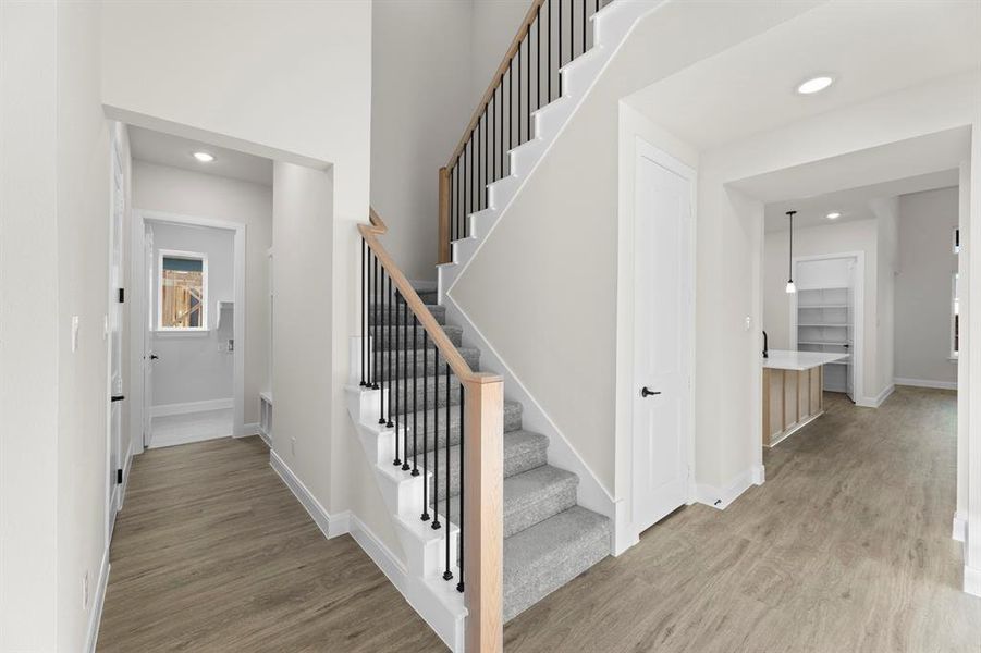 1617 Yorkie - Stairs