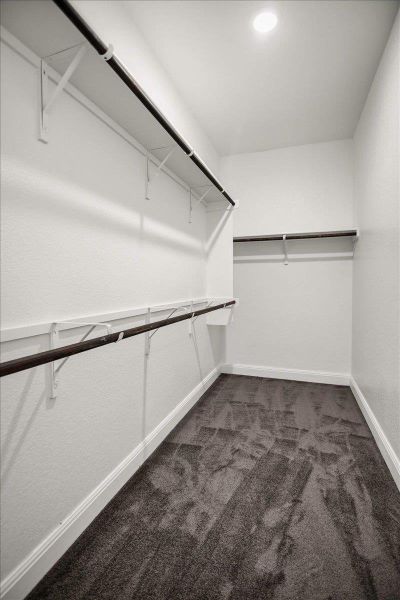 A well-organized walk-in closet features ample hanging space and soft carpeting underfoot.