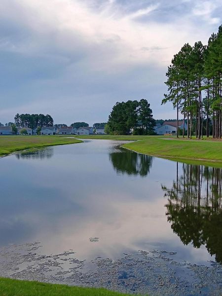 Natural landscape and outdoor views near  in Summerville (Image 19).
