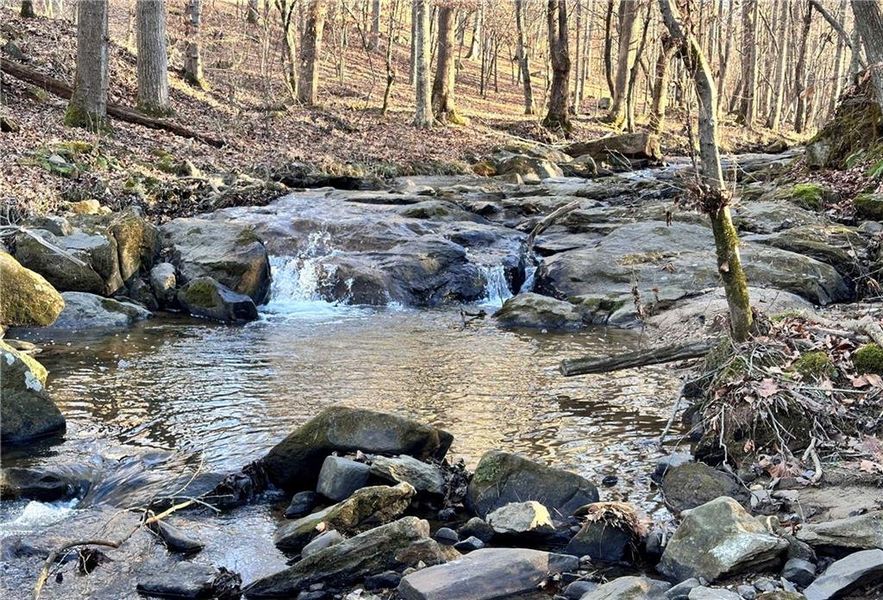 Natural landscape and outdoor views near  in Cumming (Image 17).