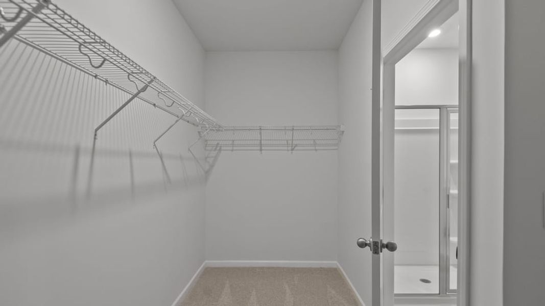 Spacious, unfurnished interior of a new home in Colly Farm, Stokesdale (Image 25).