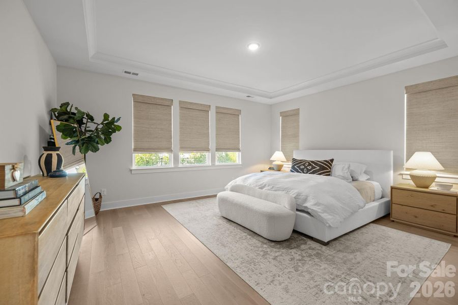 Light-Filled Primary on Main