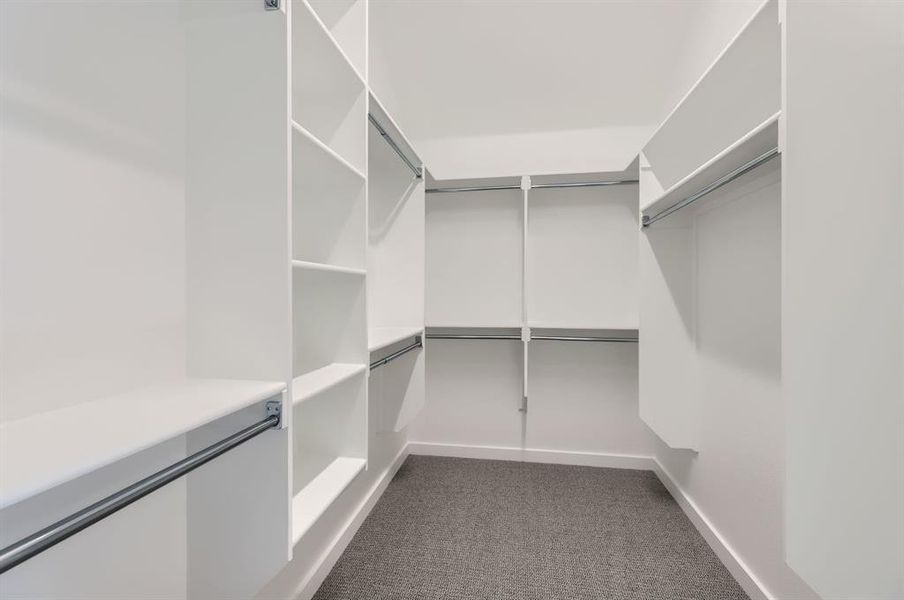 Spacious closet with dark colored carpet