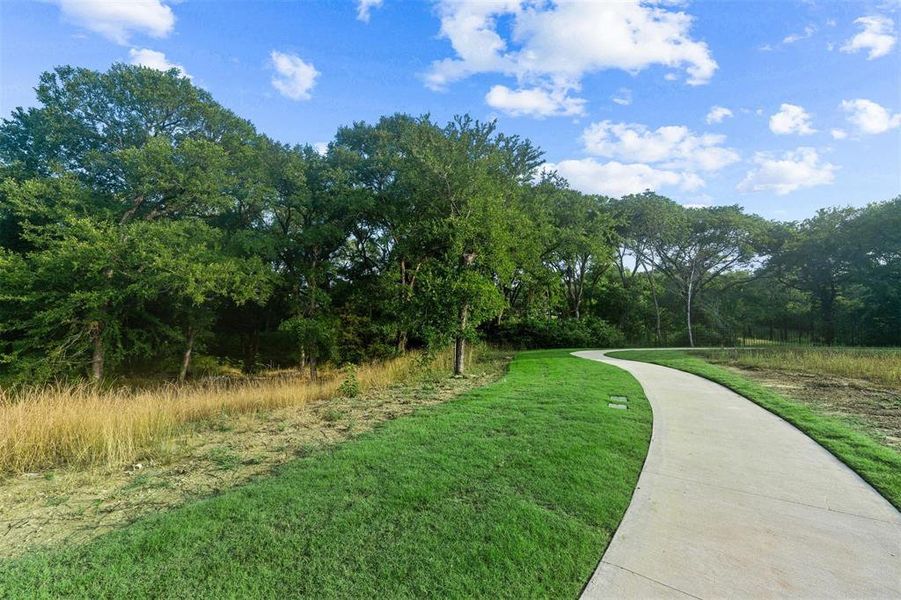 View of community featuring a yard and a wooded view View of community featuring a yard and a wooded view