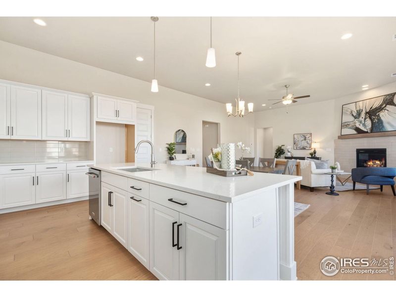 Entertainer's delight with open floor plan!