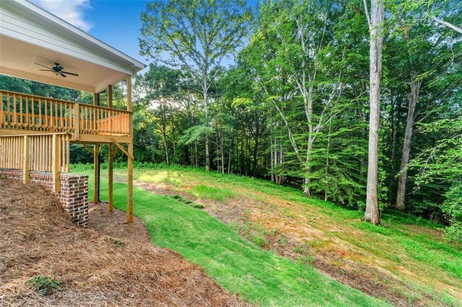 Exterior details and patio area of a home in Steeplechase, Hoschton (Image 21).