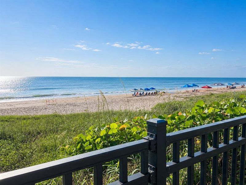 Natural landscape and outdoor views near in Daytona Beach (Image 46). Natural landscape and outdoor views near in Daytona Beach (Image 46).