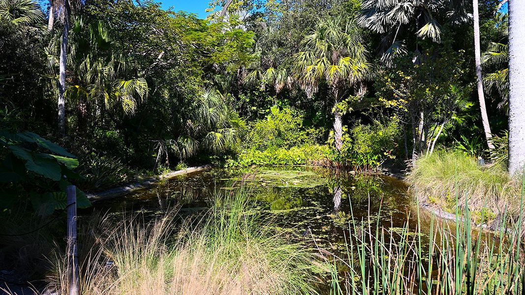 Natural landscape and outdoor views near Veranda Oaks in Port St. Lucie (Image 80).