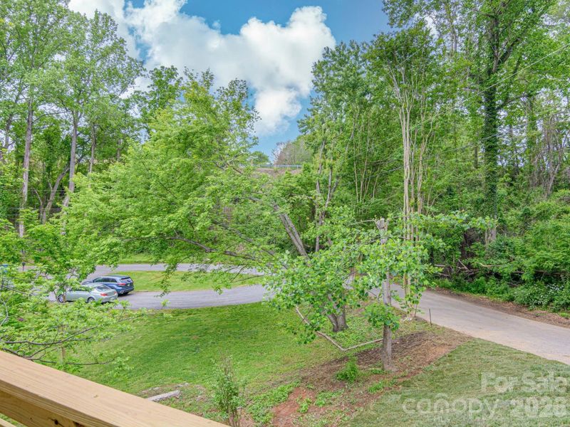 Natural landscape and outdoor views near  in Asheville (Image 37).