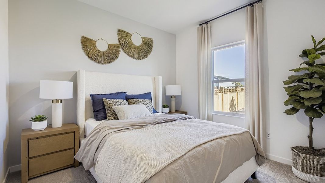 3504 Orchid NG Bed F1