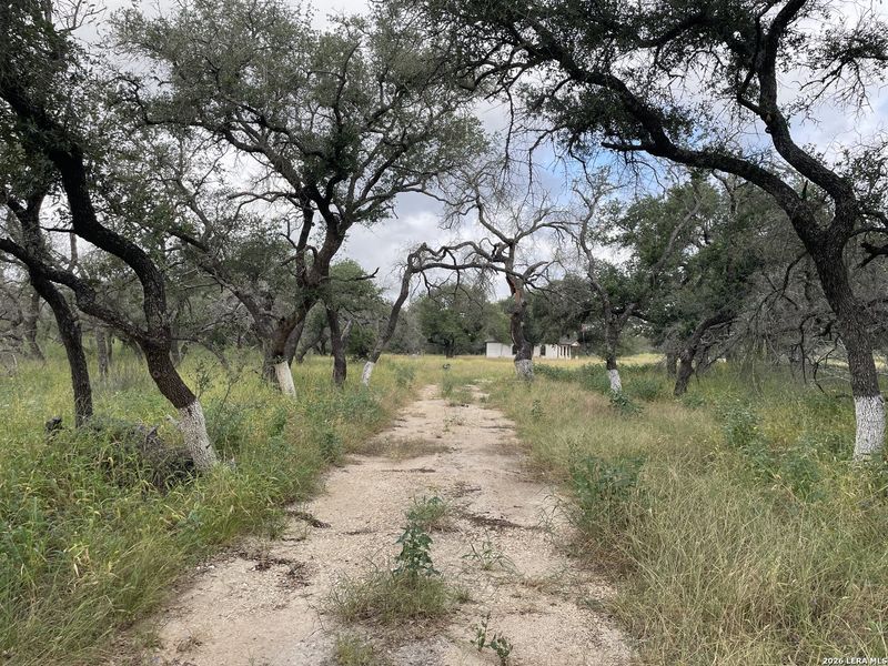 Natural landscape and outdoor views near in Devine (Image 3). Natural landscape and outdoor views near in Devine (Image 3).