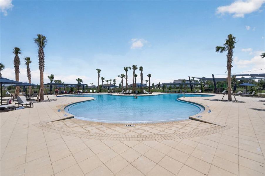 Community amenities in Caldera, Spring Hill (Image 67).